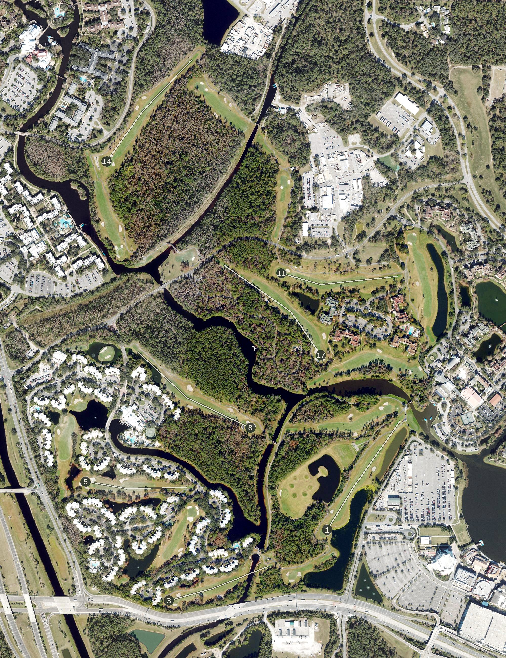 Aerial view of Disney's Lake Buena Vista Golf, FL