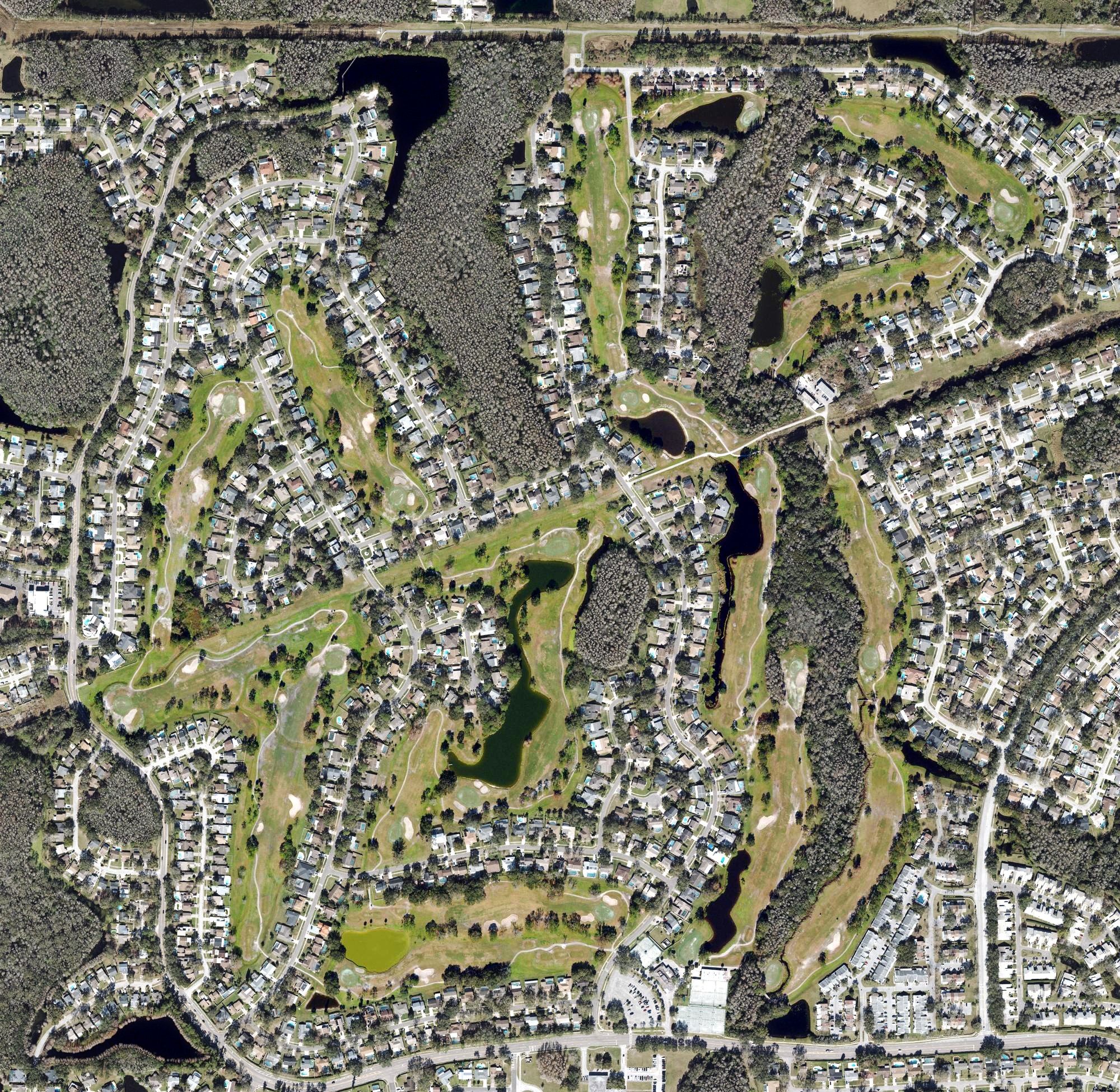 Aerial view of Northdale Golf & Tennis Club, FL