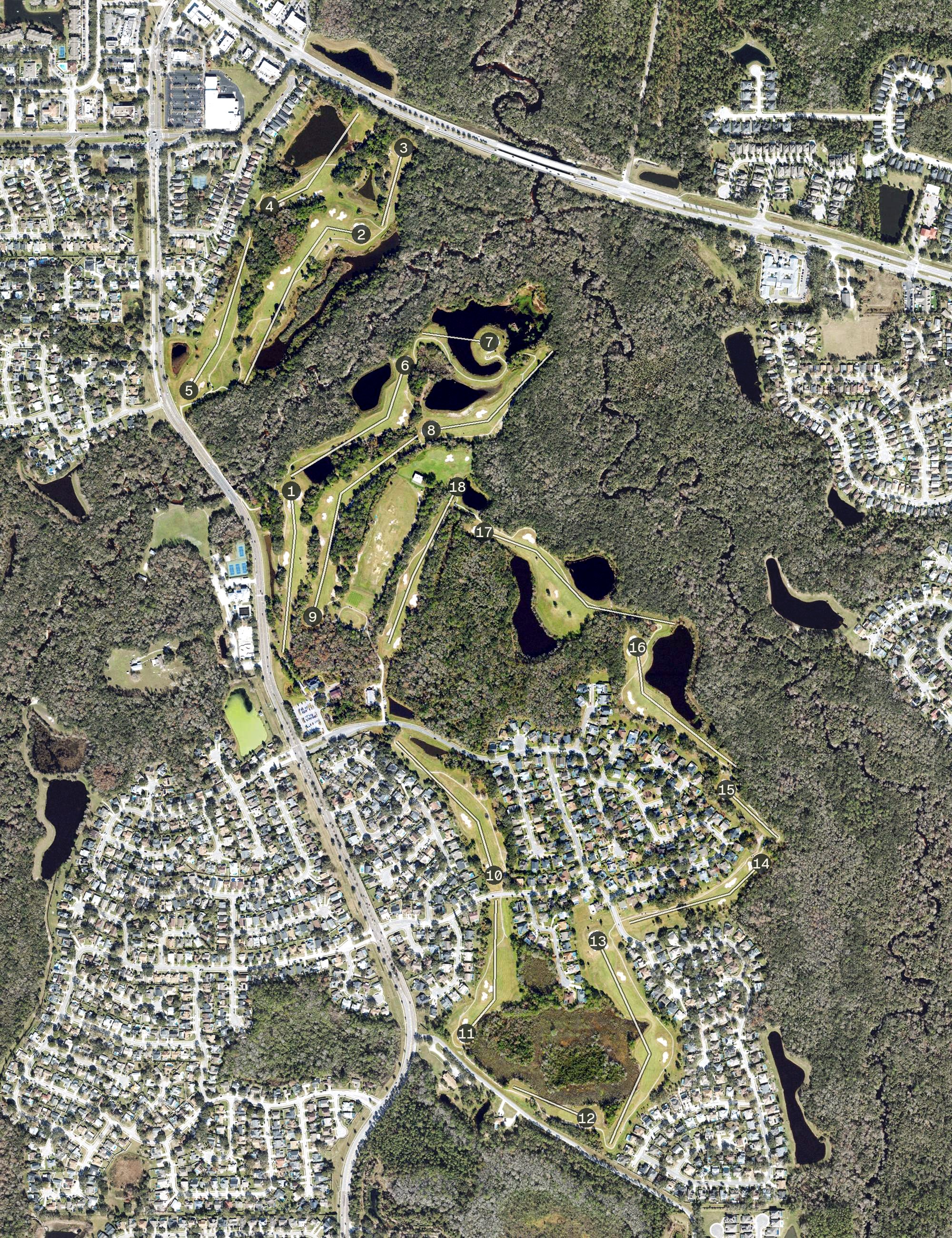 Aerial view of Twin Rivers Golf Club, FL