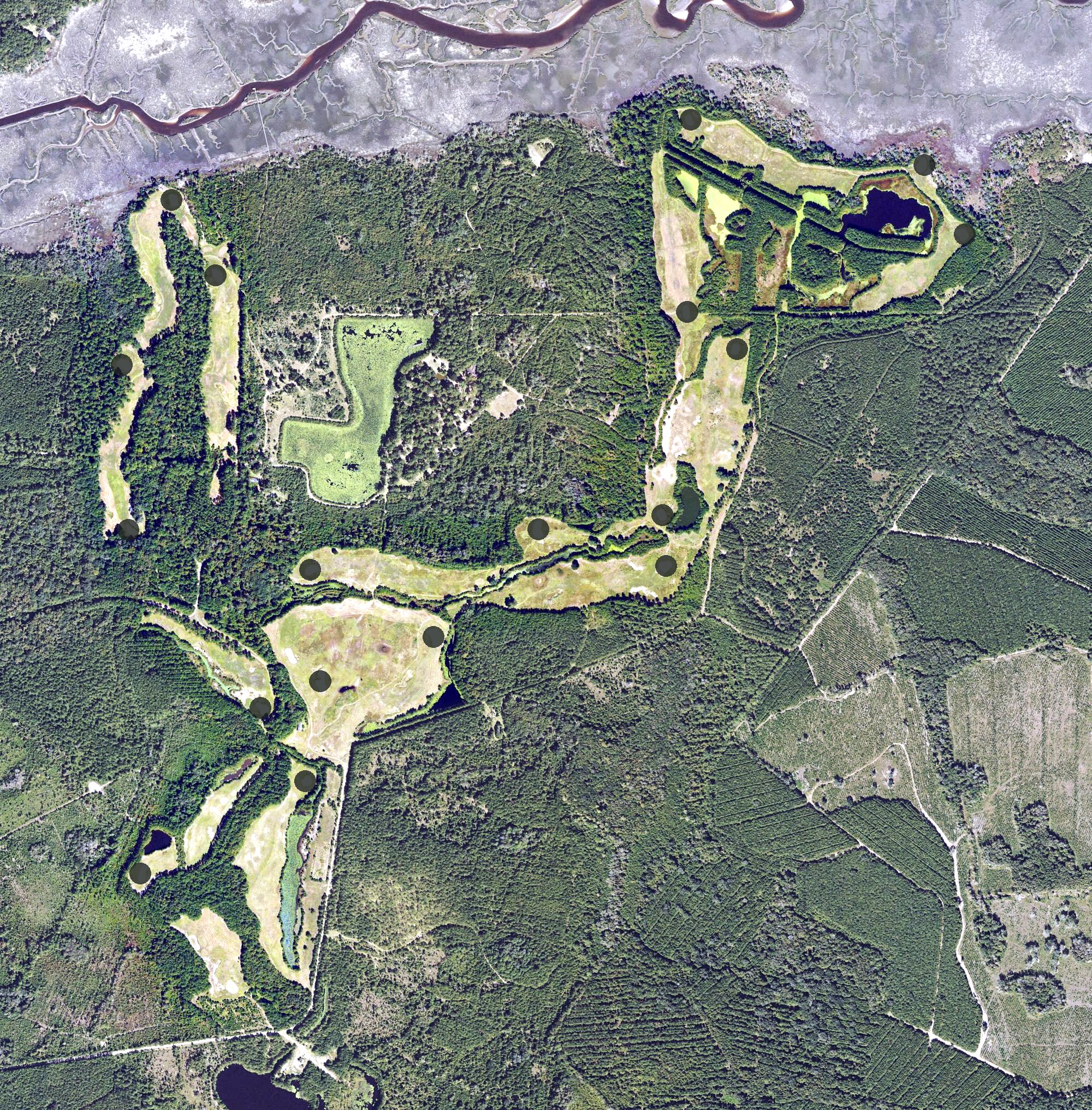Aerial view of Ricefields Golf Club, GA