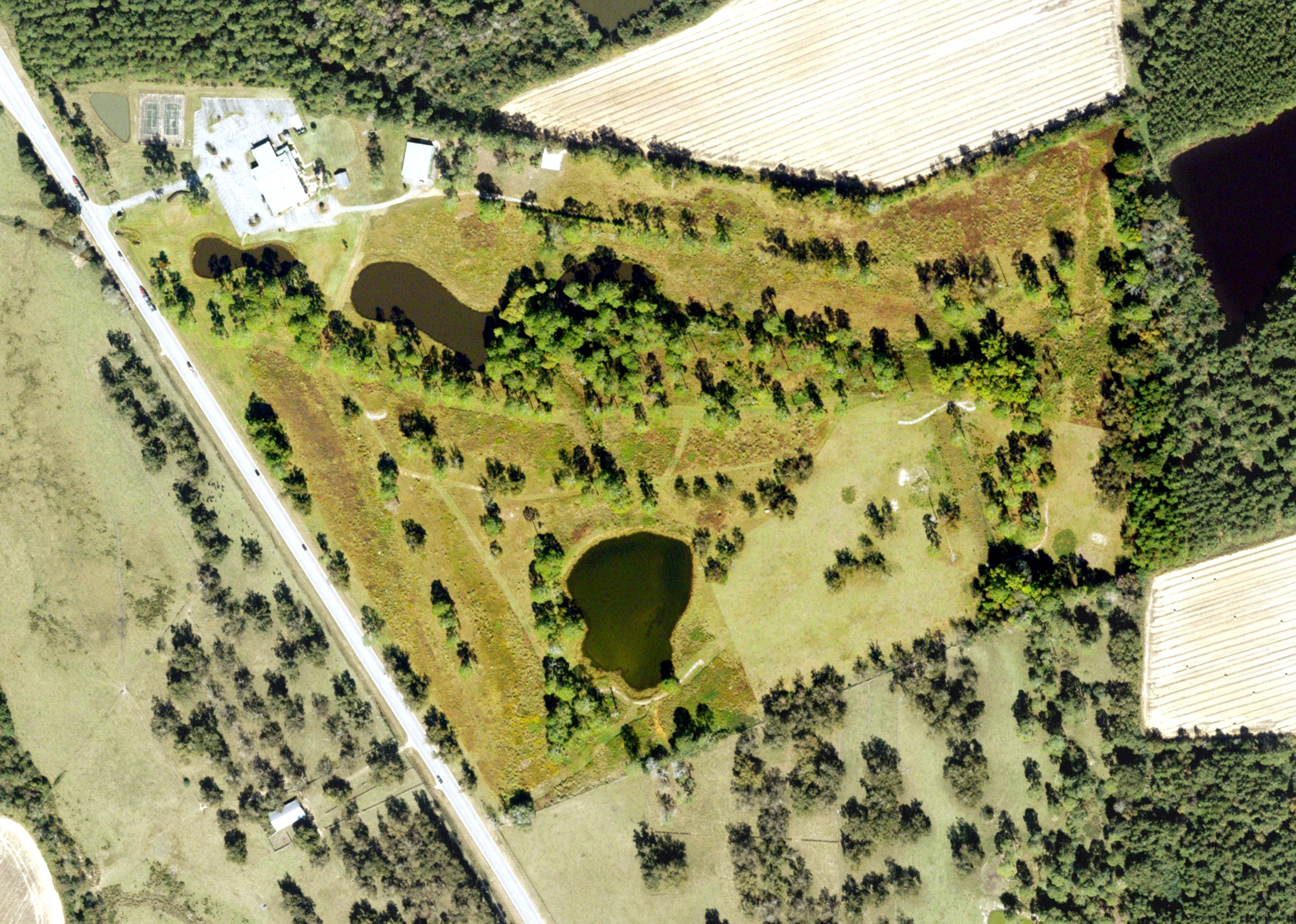 Aerial view of Turkey Creek Golf Course, GA