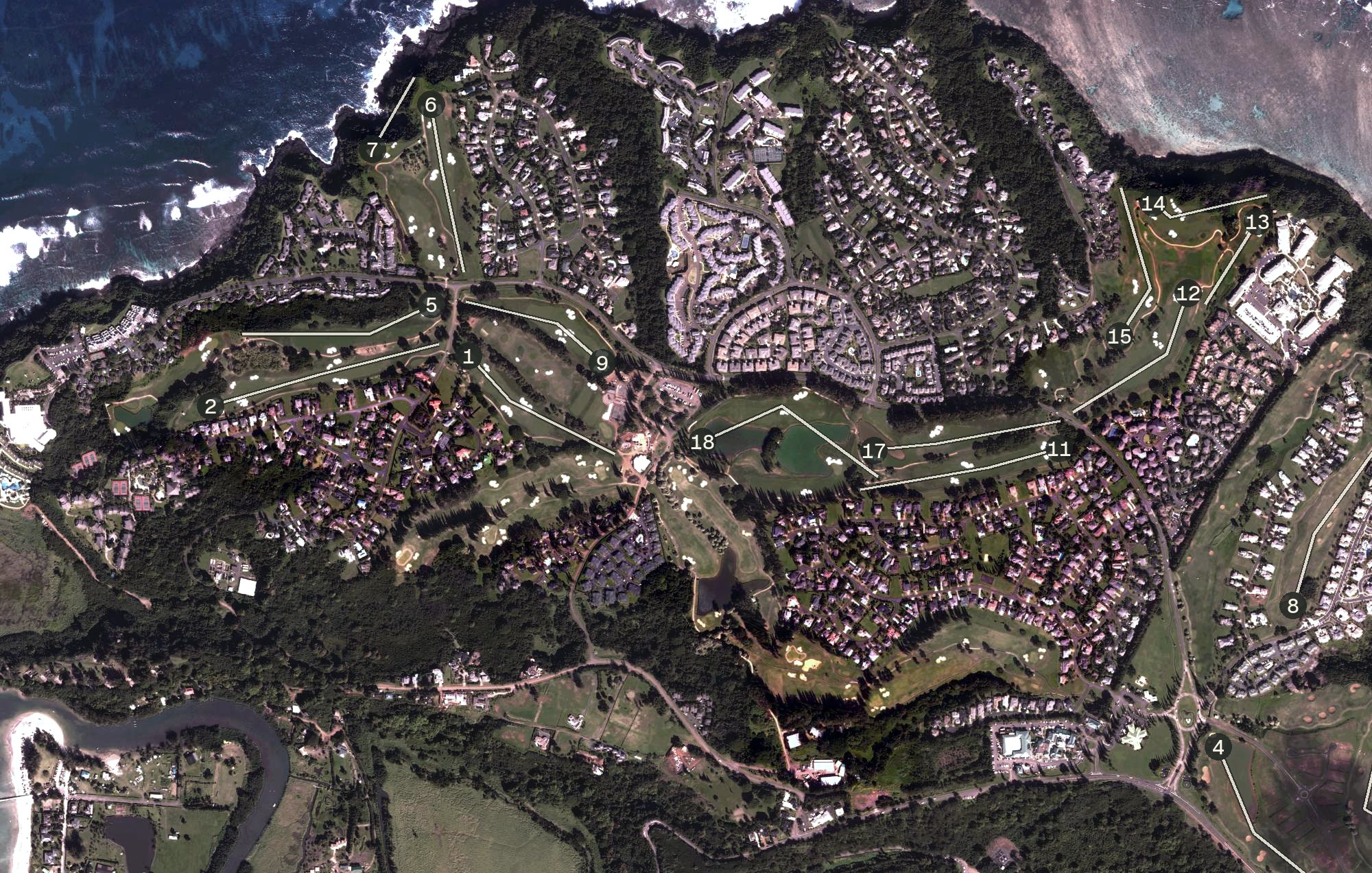 Aerial view of Princeville Makai Golf Club, HI