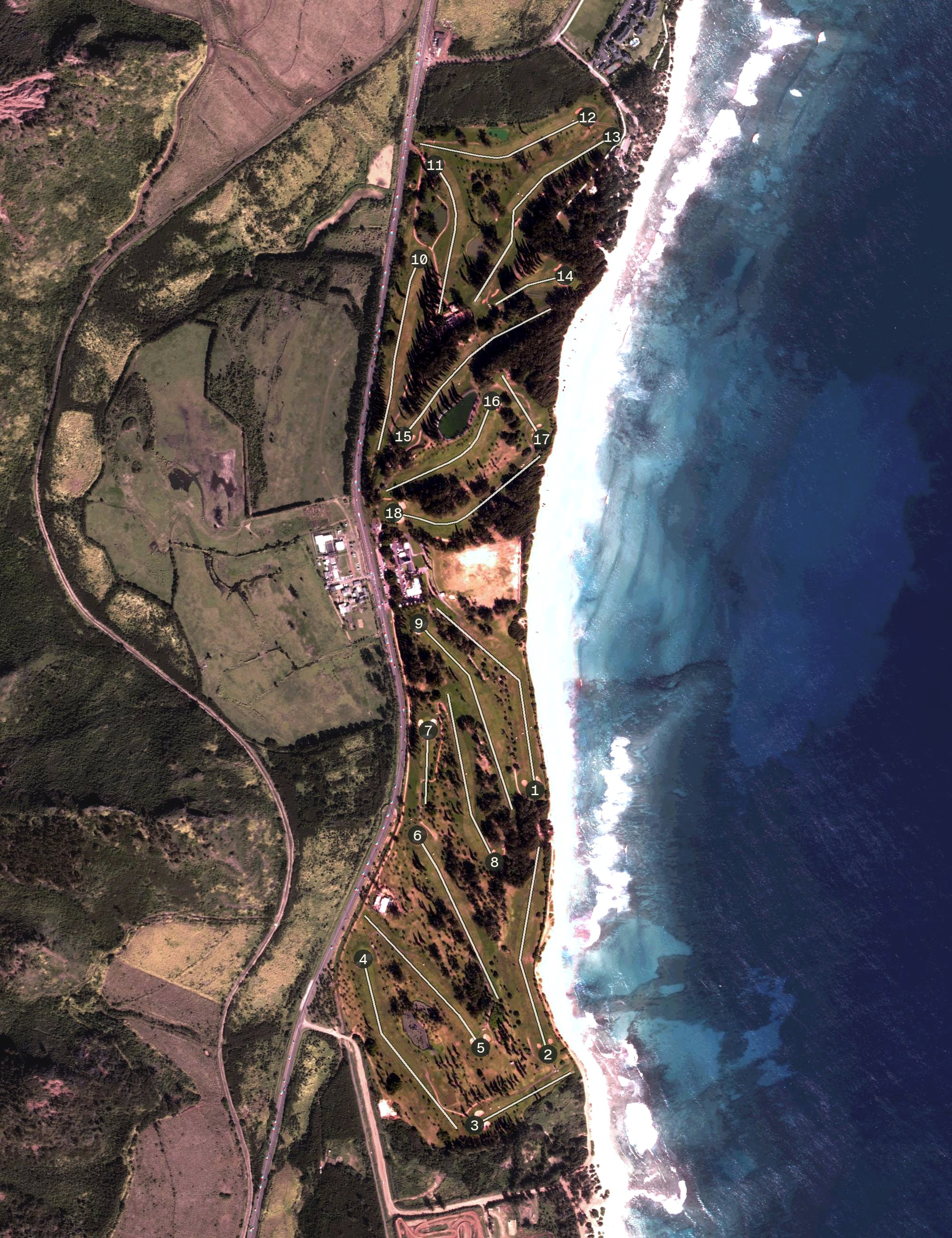 Aerial view of Wailua Golf Course, HI