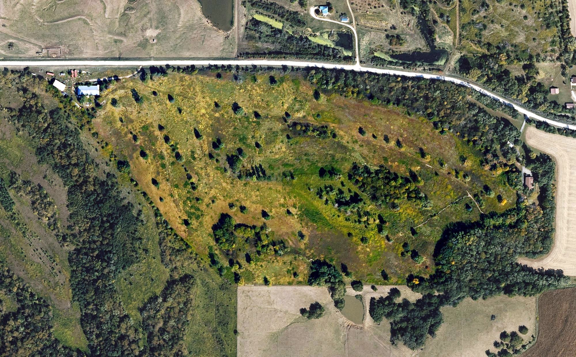 Aerial view of Essex Golf Club, IA