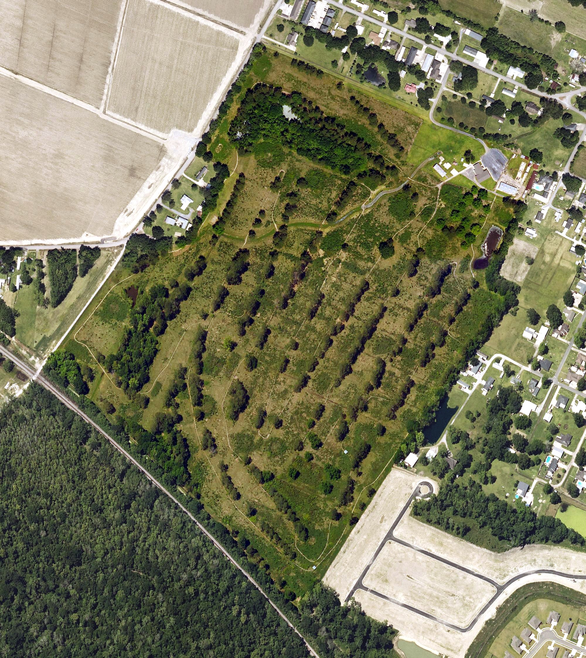 Aerial view of West Side Golf Course, LA
