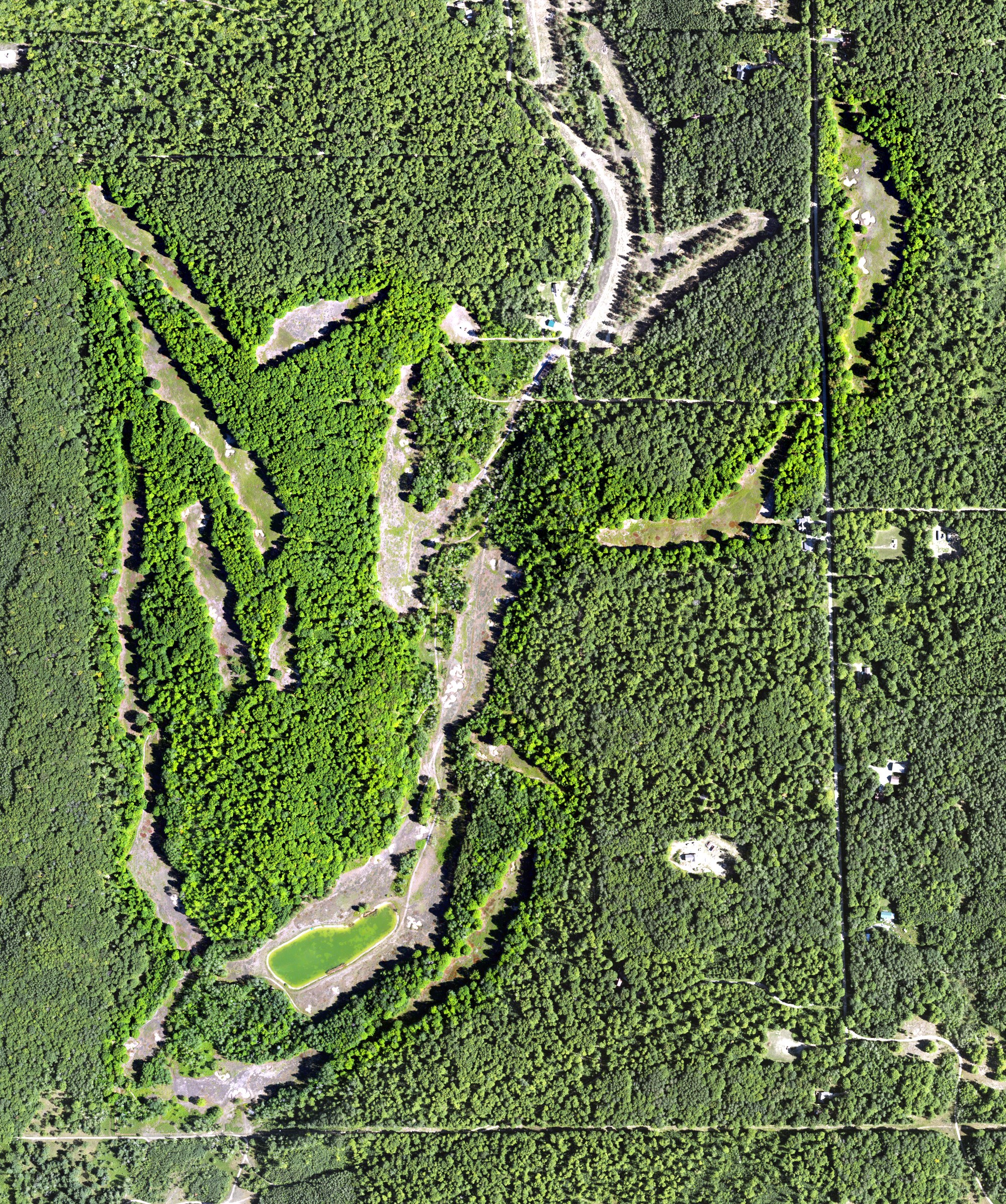 Aerial view of Black Forest at Wilderness Valley, MI