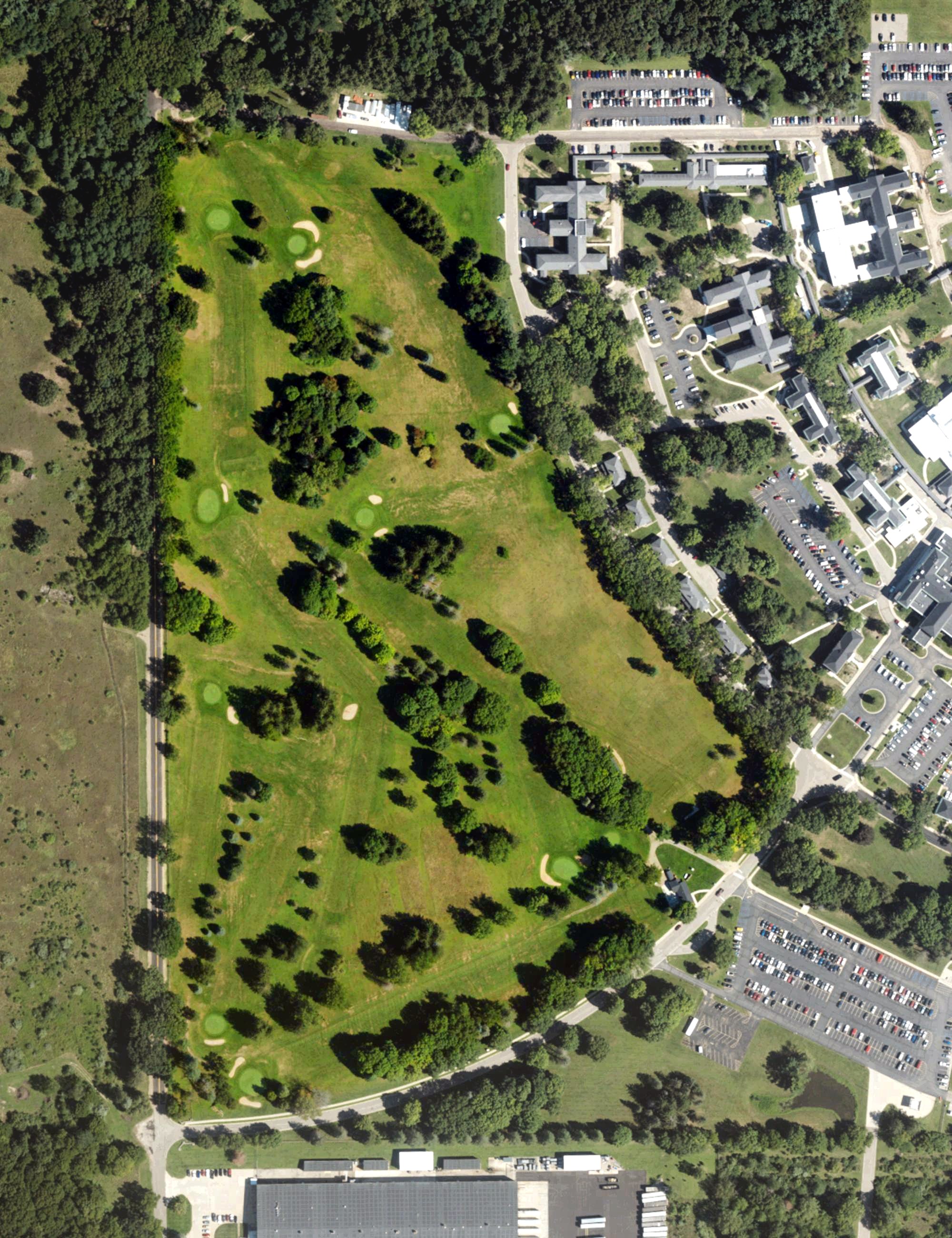 Aerial view of Custer Greens Golf Course, MI