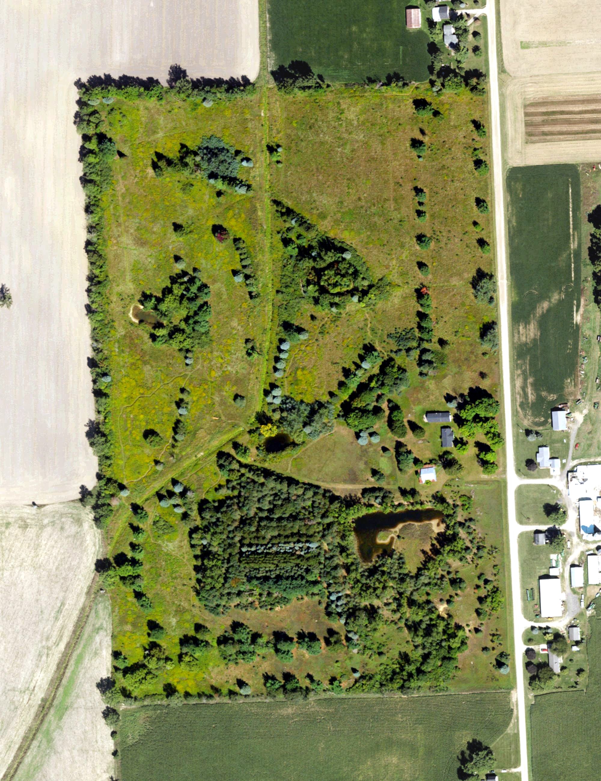 Aerial view of EMS Links Golf Course, MI