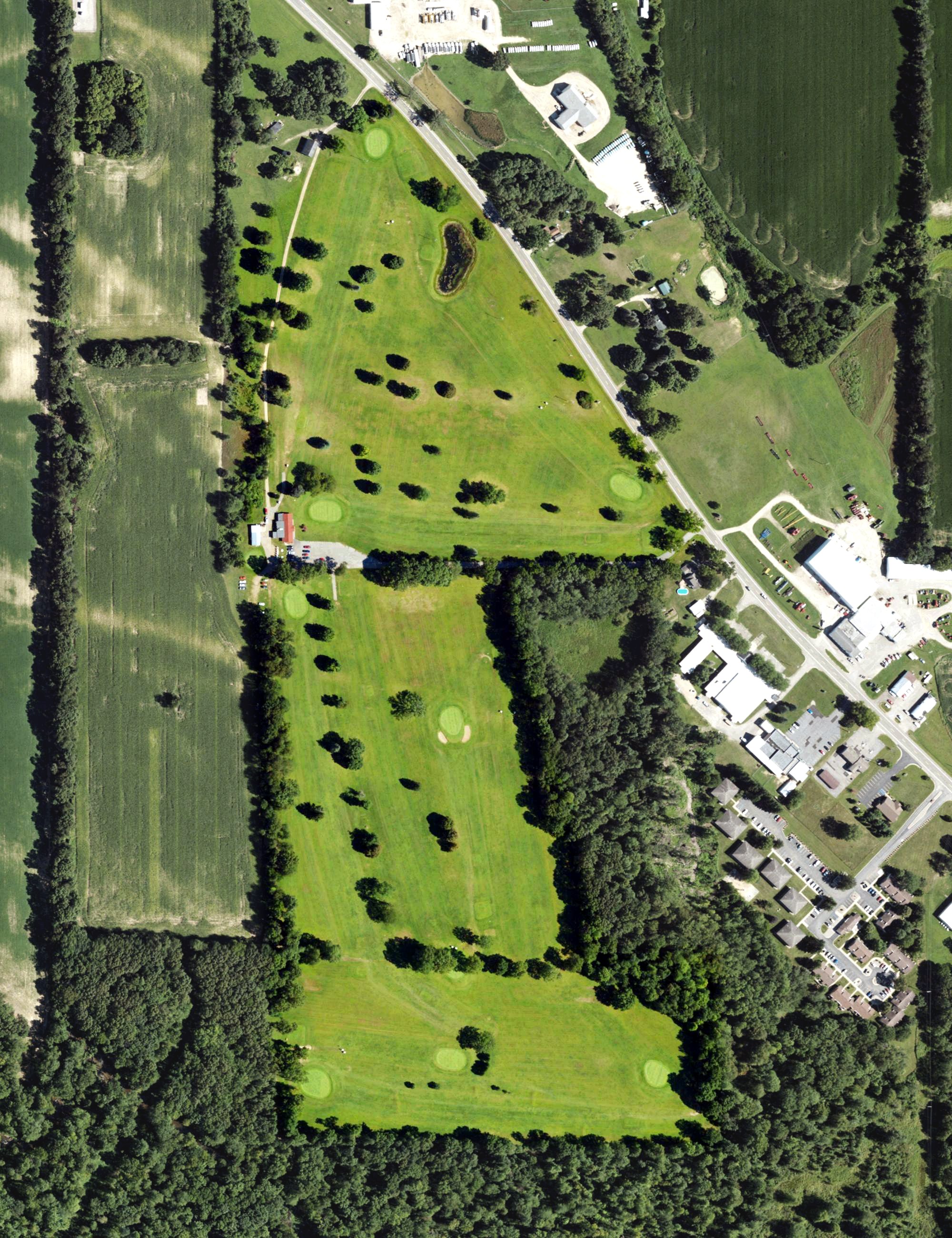 Aerial view of Litchfield Greens, MI