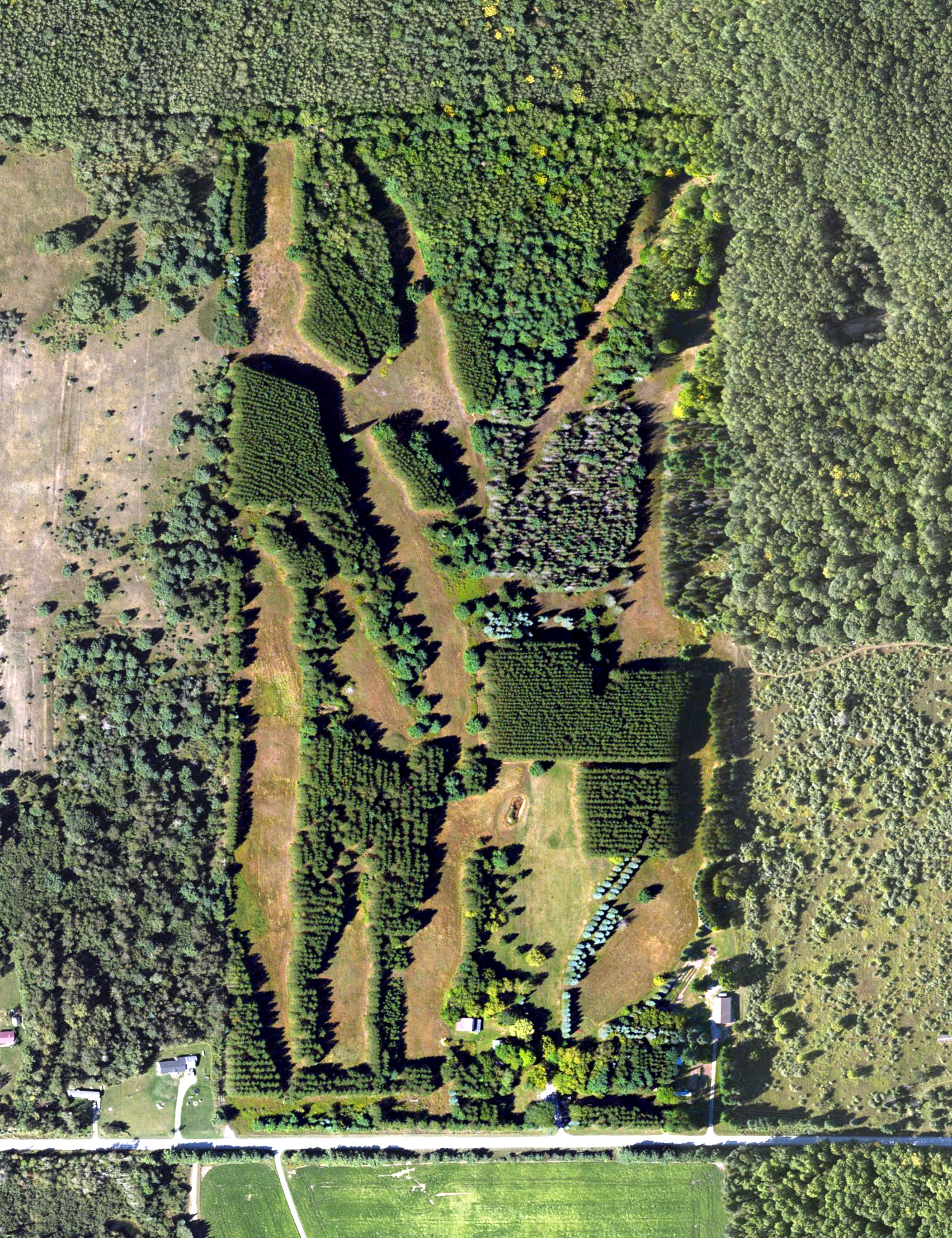 Aerial view of Monarch Ridge Golf Course, MI