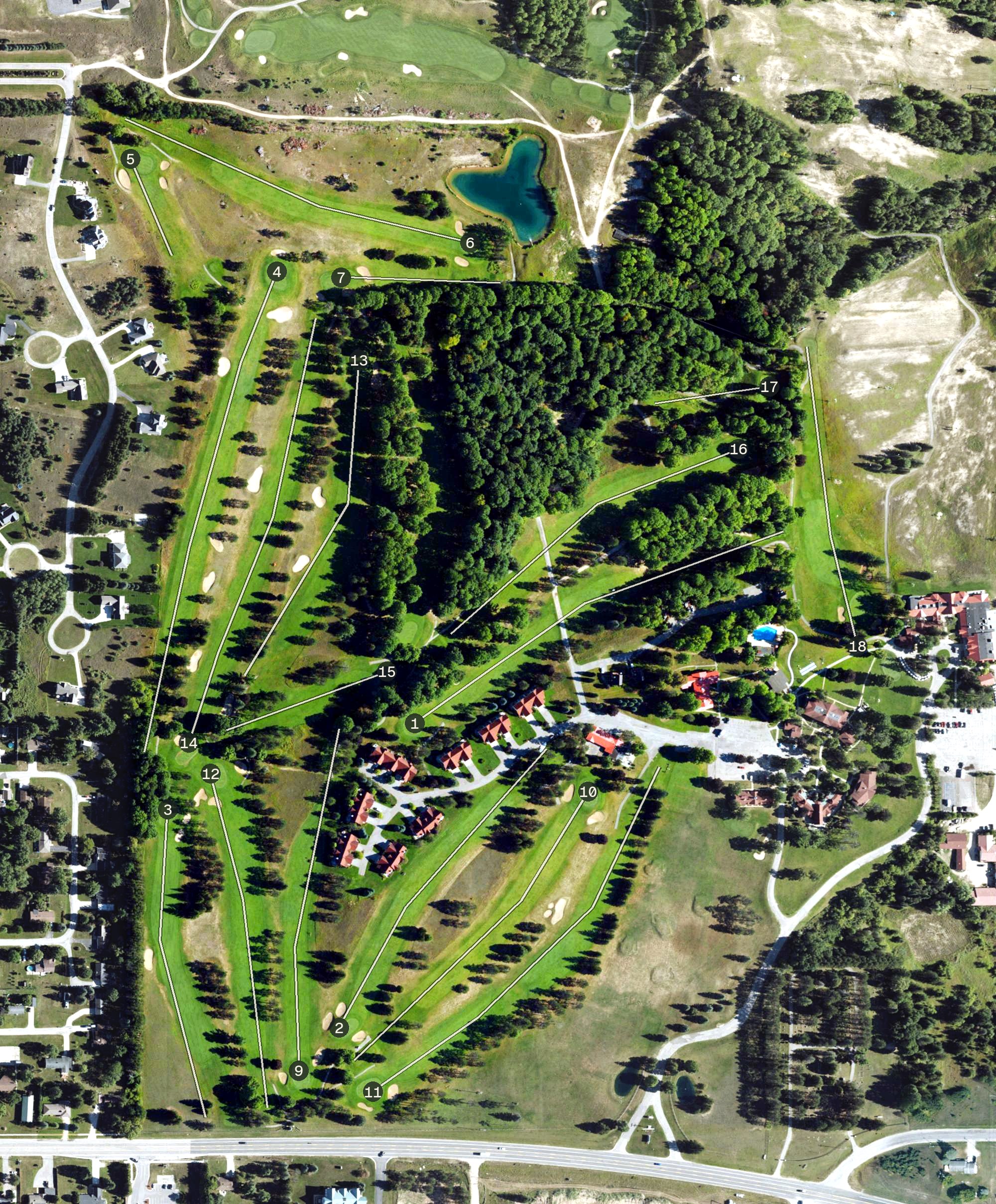 Aerial view of The Classic, MI