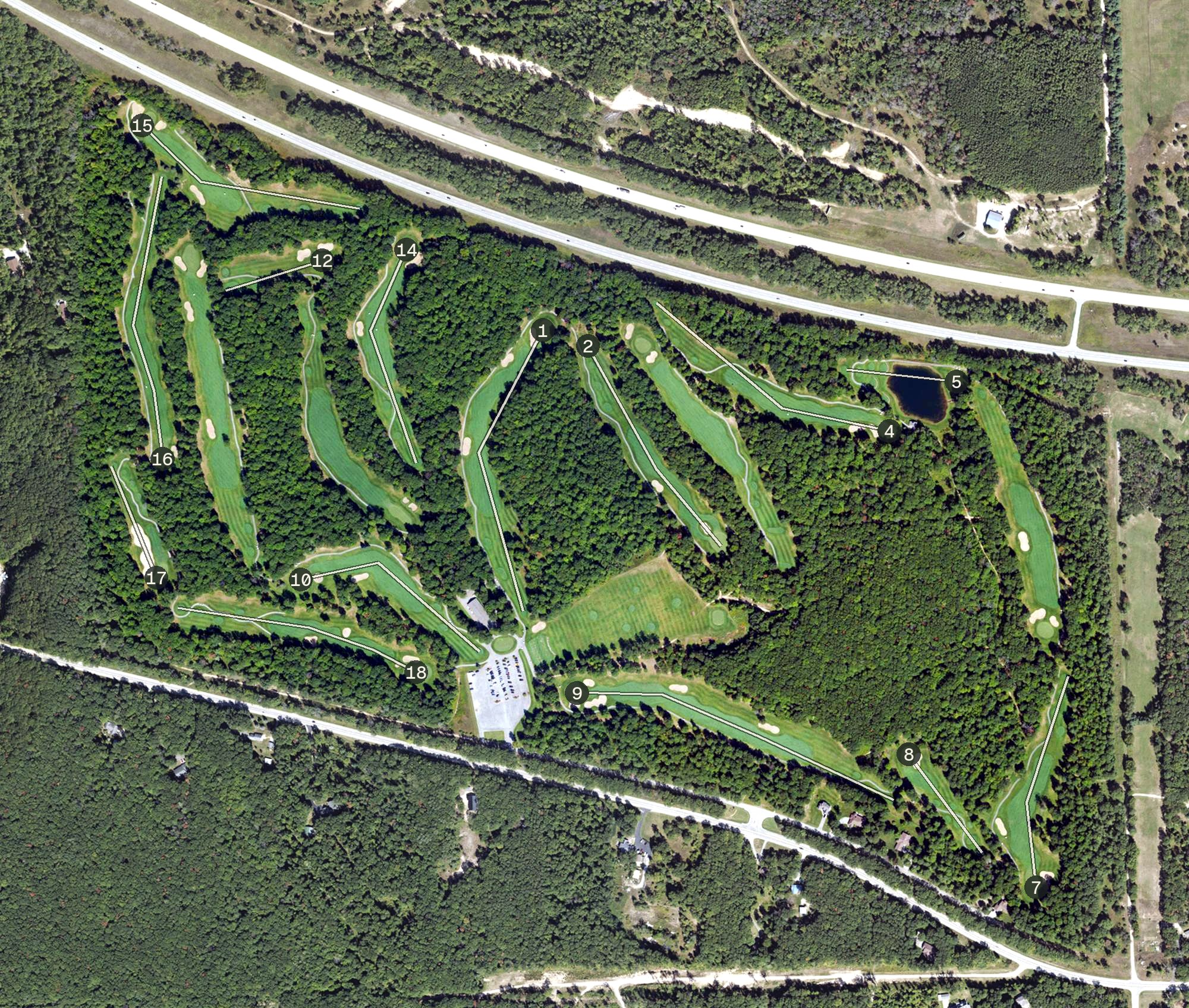 Aerial view of The Dream GC, MI