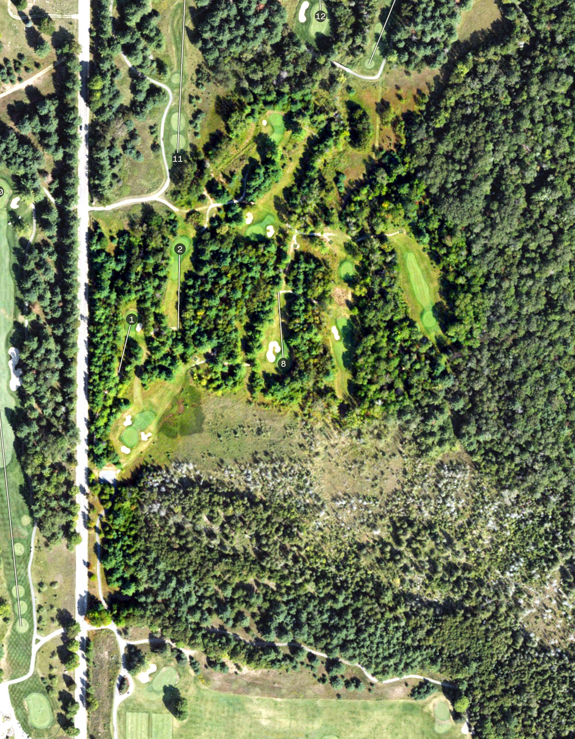 Aerial view of The Little Course, MI
