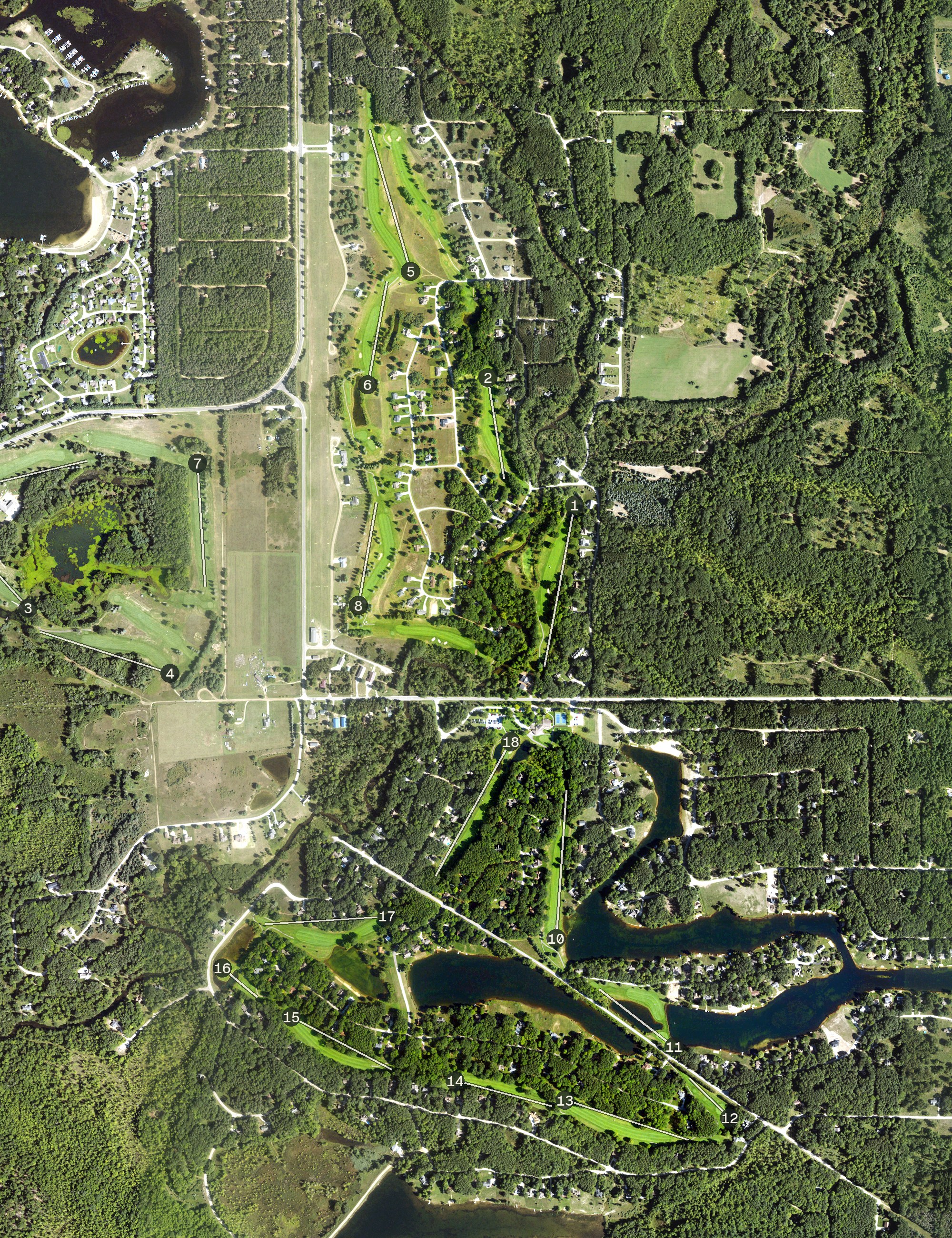 Aerial view of The Royal, MI