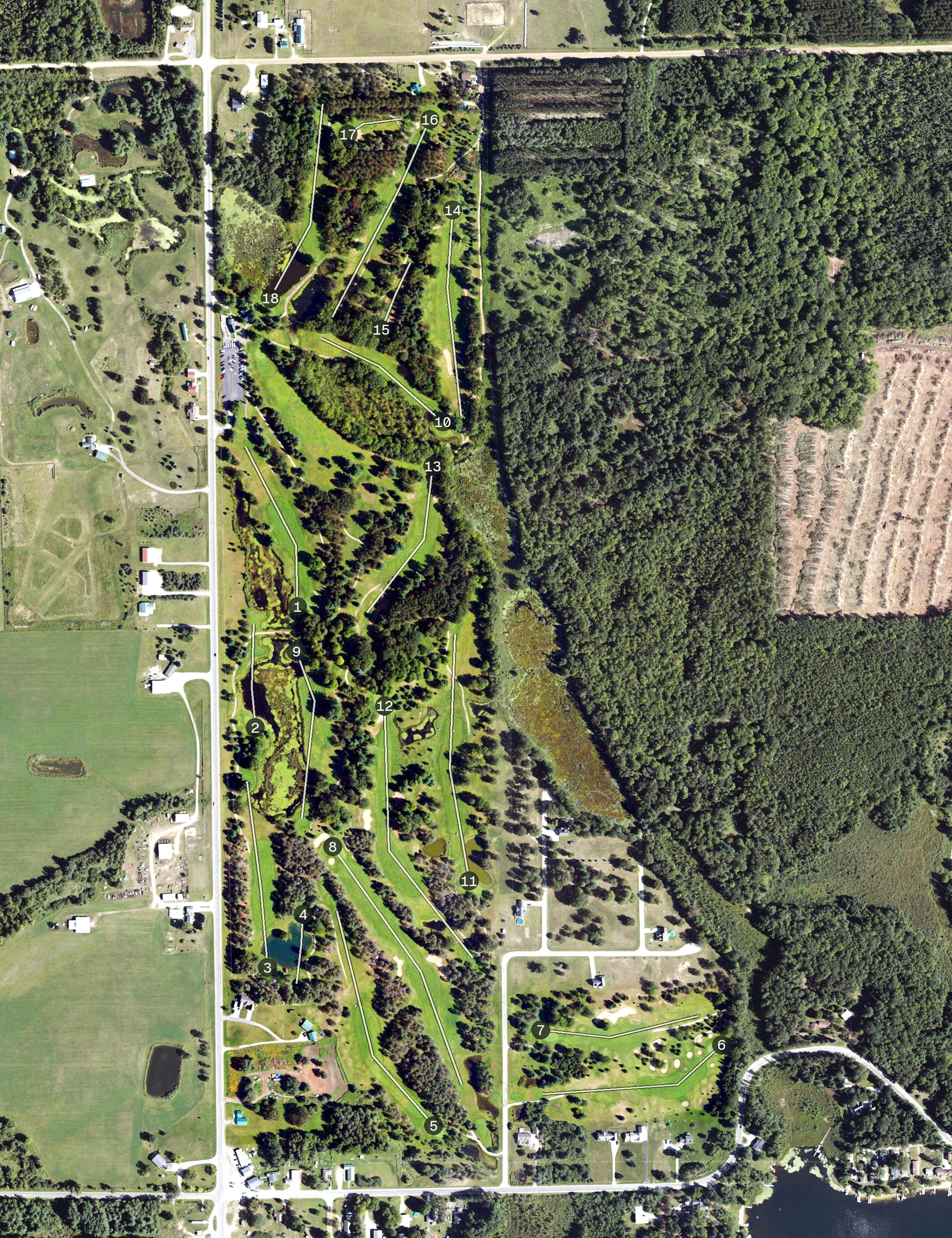 Aerial view of The Tamaracks Golf Course, MI
