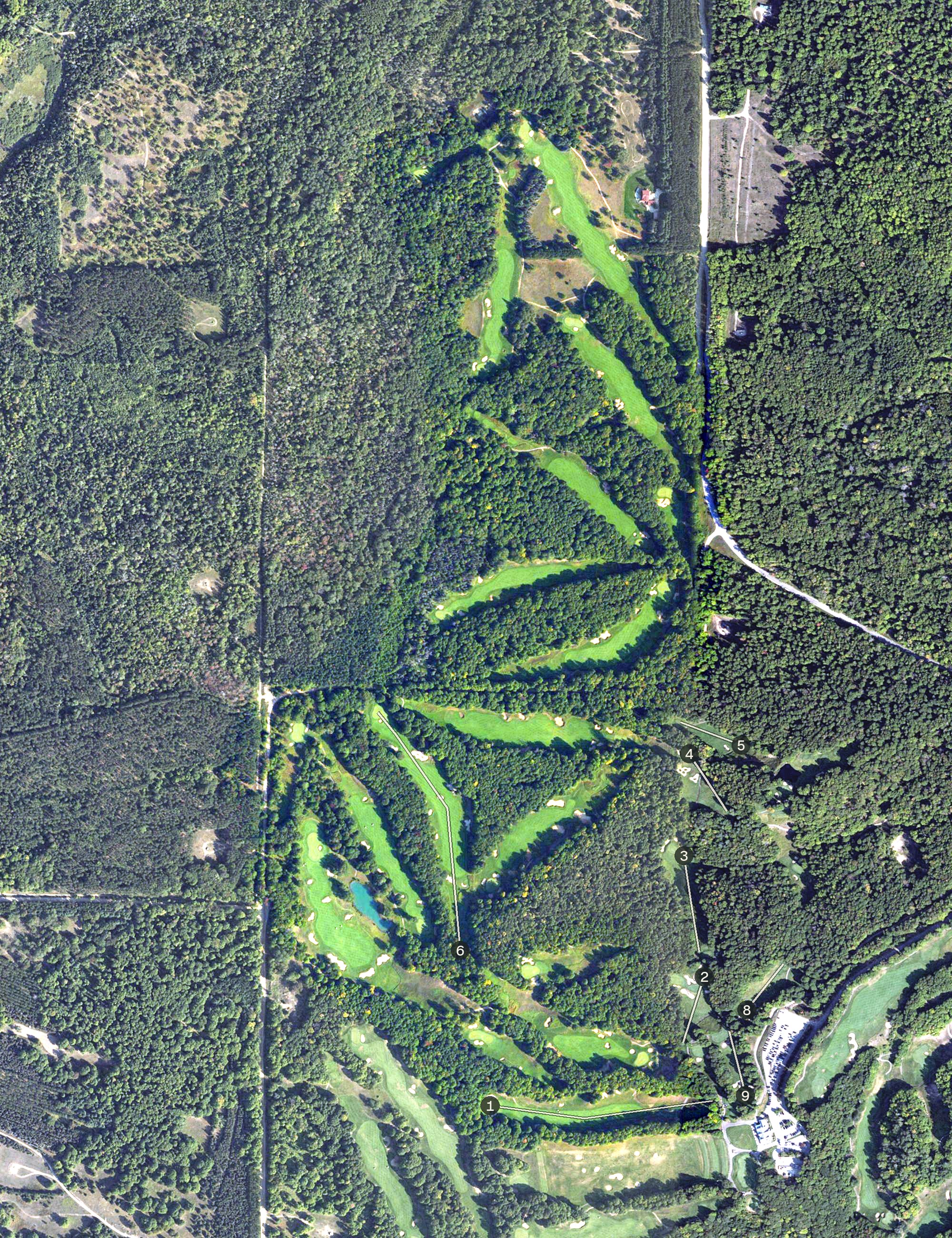 Aerial view of Treetops, MI
