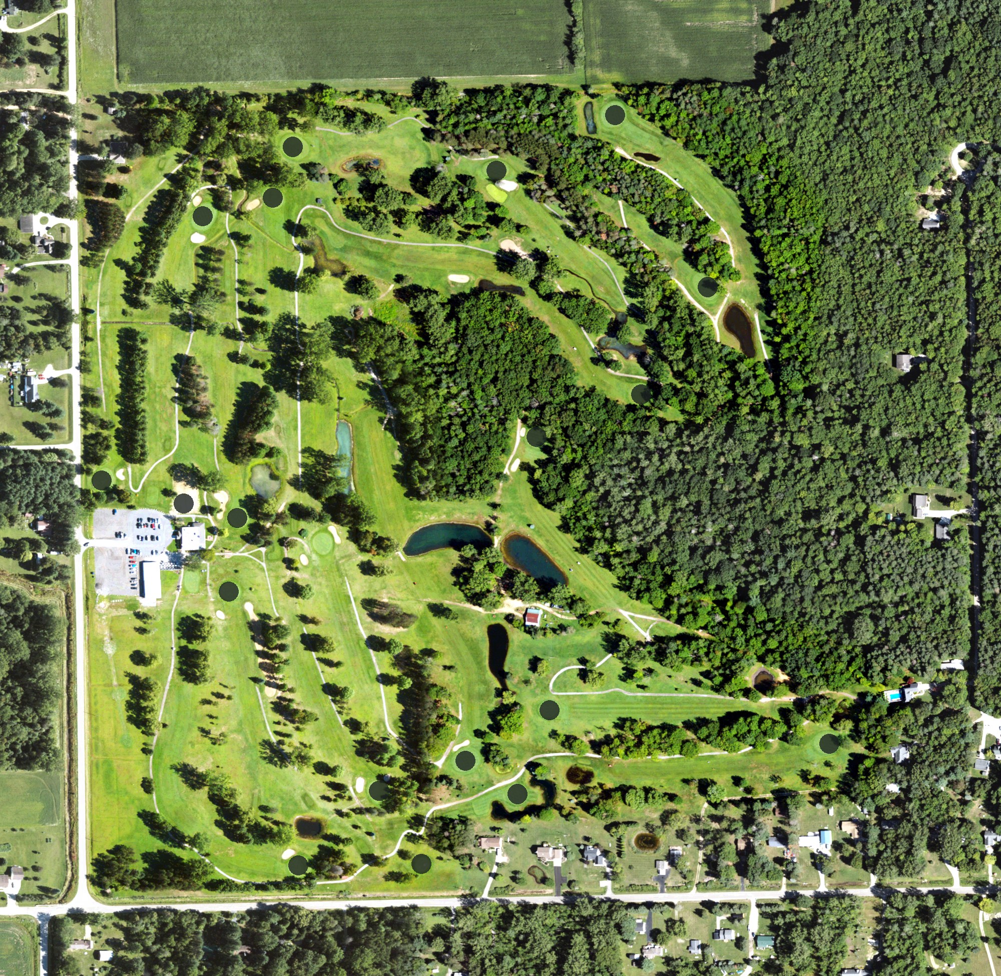 Aerial view of Willow Springs Golf and Country Club, MI