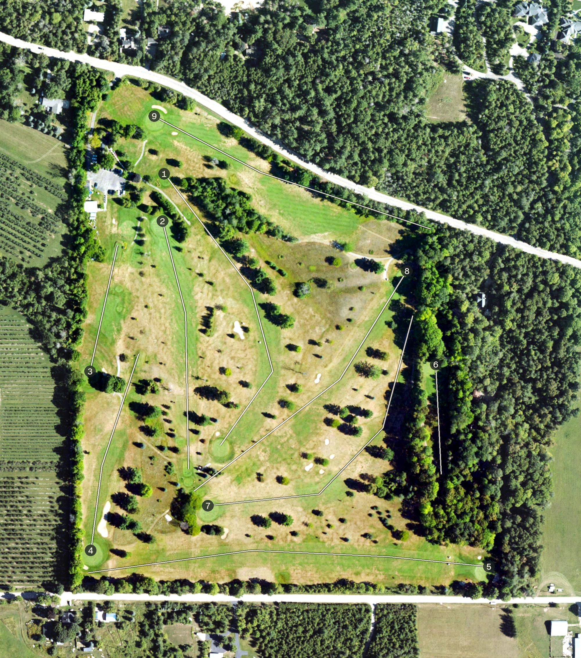 Aerial view of Ye Nyne Old Holles Golf Course, MI
