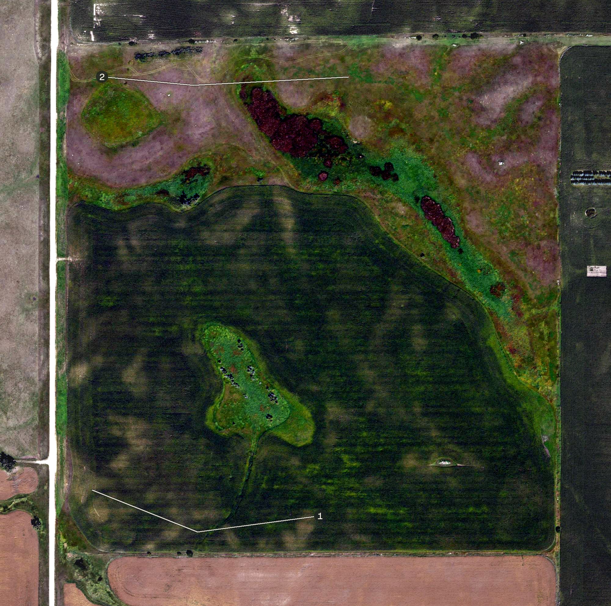 Aerial view of The Dak Club, ND
