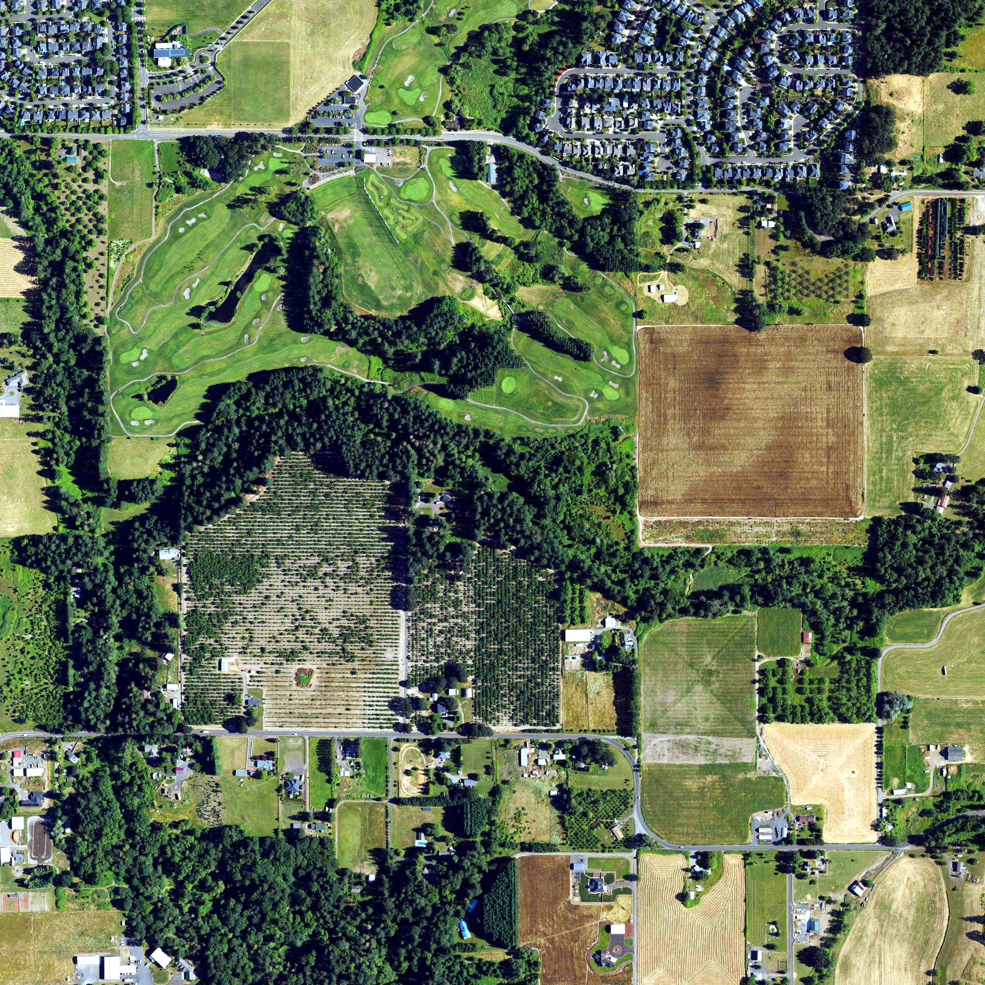 Aerial view of Chehalem Glenn Golf Course, OR