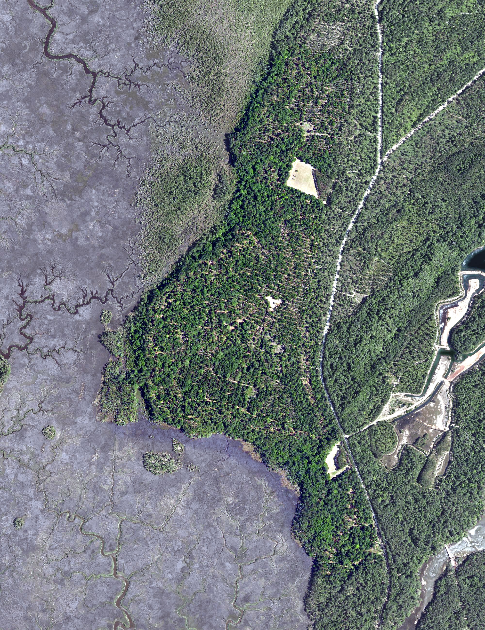 Aerial view of Anson Point Golf Course, SC