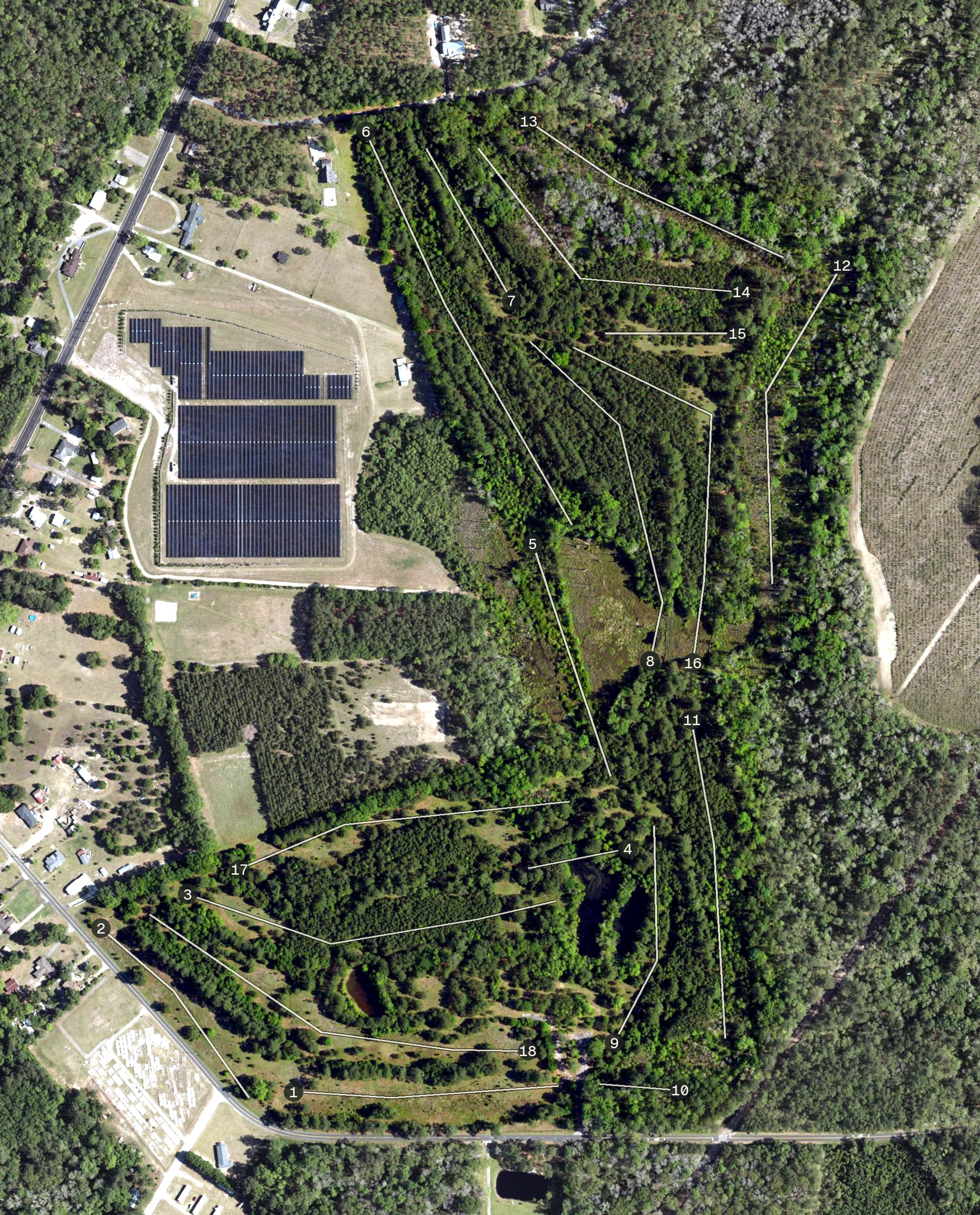 Aerial view of Hampton Country Club, SC
