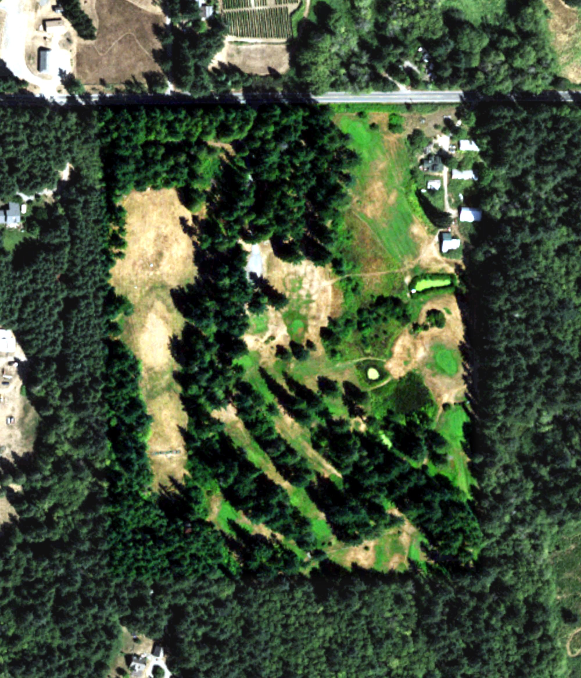 Aerial view of Island Greens, WA